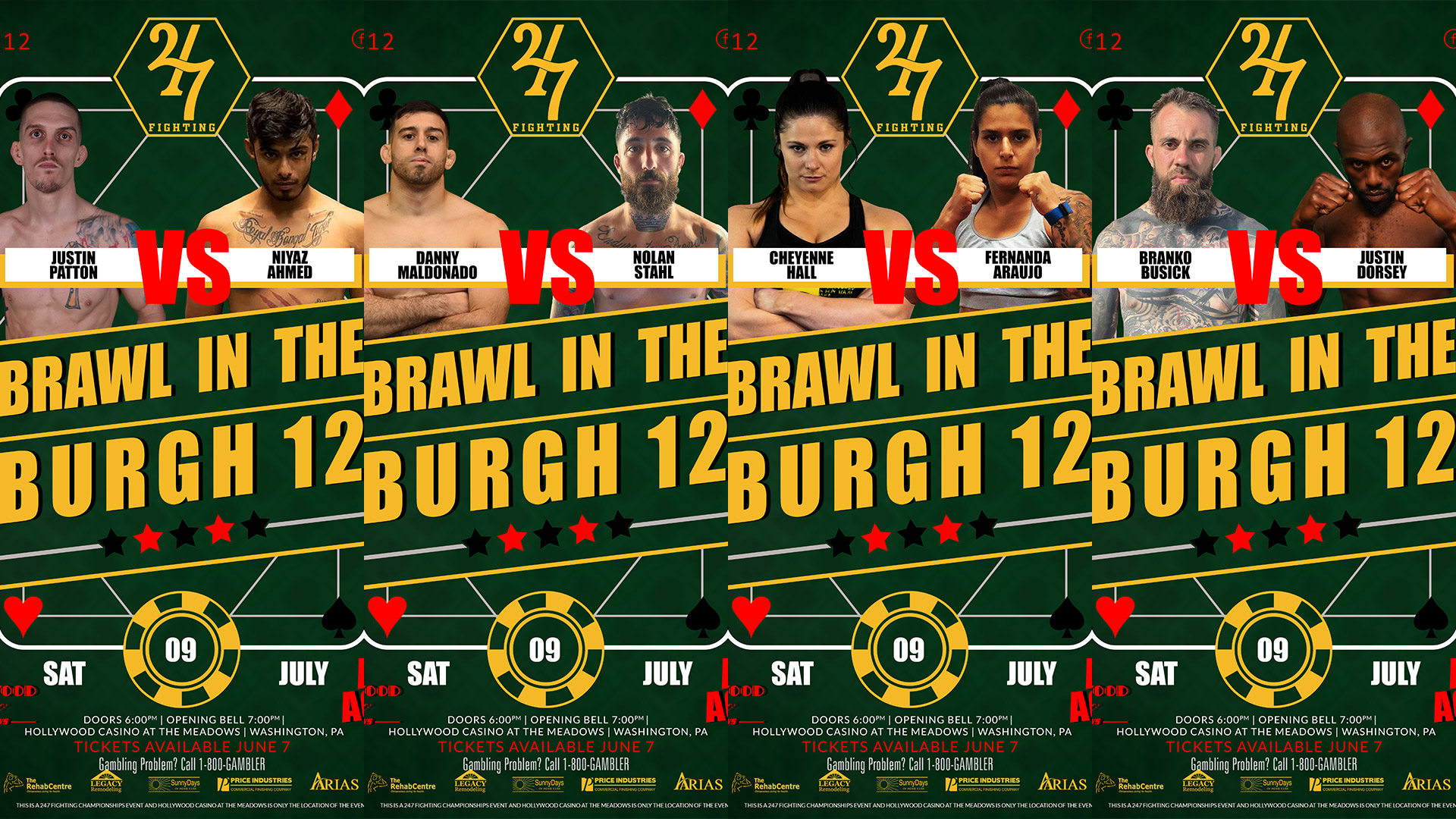 brawl-burgh-12-pro-fights-image-247-fighting-championships