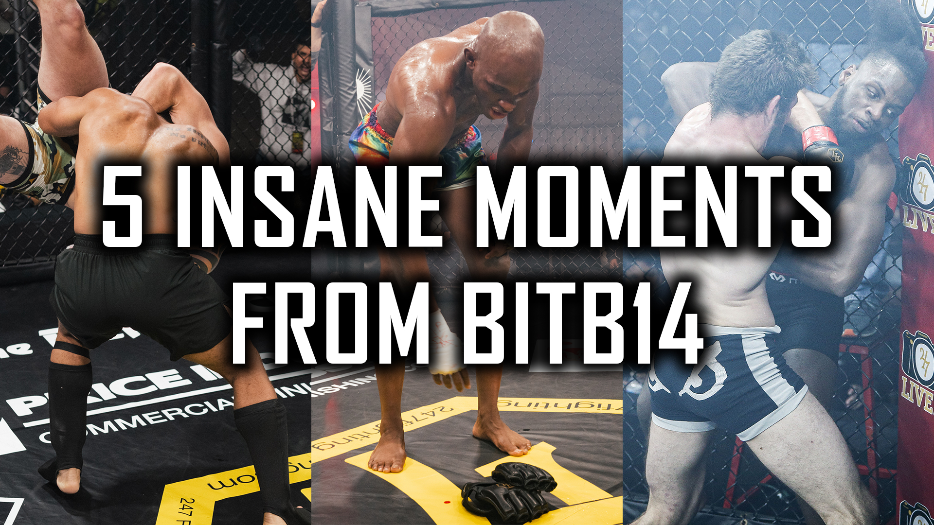 BITB14-five-insane-moments-brawl-burgh-14-247-fc-fighting-championships