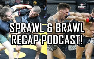 Sprawl-Brawl-recap-podcast-april-2024-full-thumb